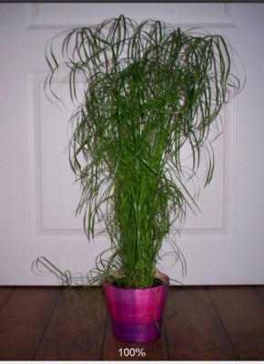 nach 2 Std. endlich geschafft.jpg