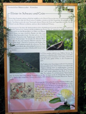 IMG_0909.JPG