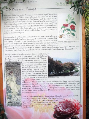 IMG_0853.JPG