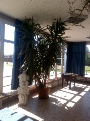 05052010.JPG