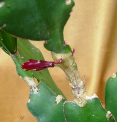pict0153.jpg