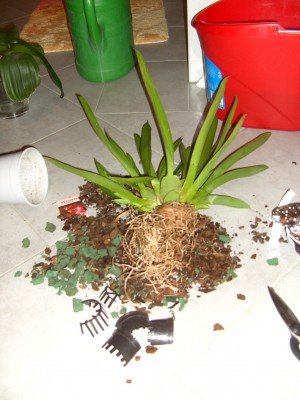 BILD9037.JPG