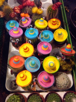 2011-01-29 18.28.42.jpg