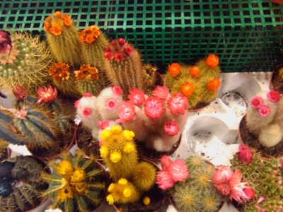 2011-01-29 18.28.32.jpg