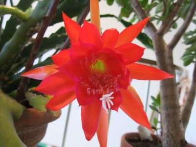 DSCF5209.JPG