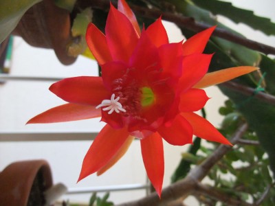 DSCF5210.JPG