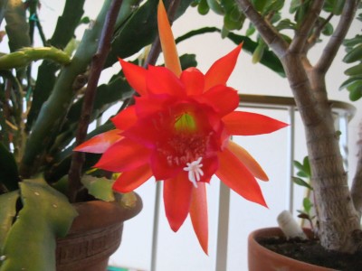 DSCF5211.JPG