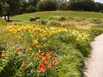 Westpark1030751.jpg