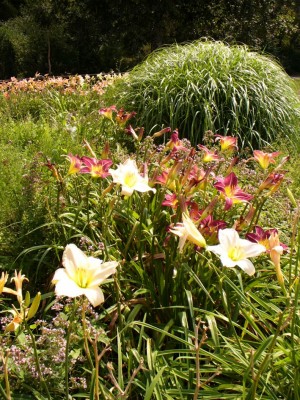 Westpark1030750.jpg