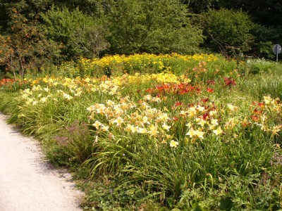 Westpark1030749.jpg