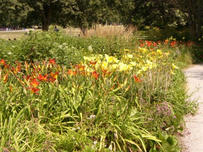 Westpark1030748.jpg