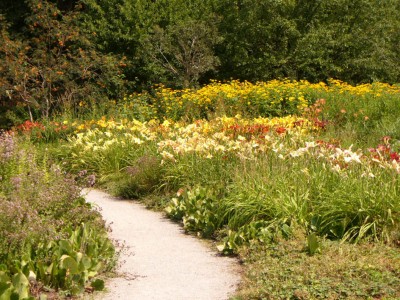 Westpark1030746.jpg