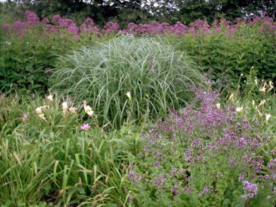 Westpark Eupatorium22.jpg
