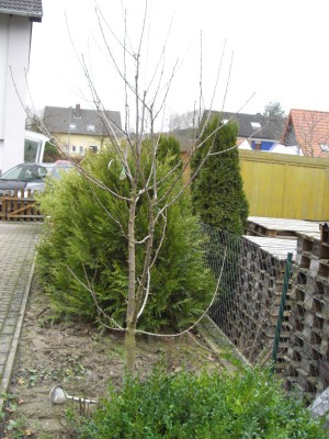 CIMG0007 - Kopie.JPG