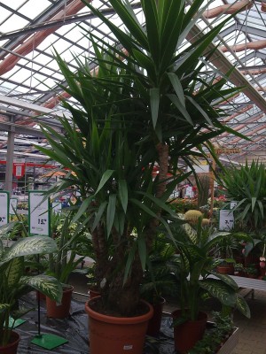 Bild212.jpg