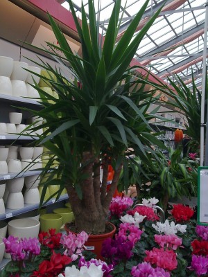 Bild211.jpg