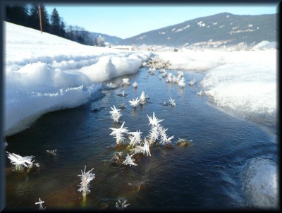 2011-01-18 157com.jpg