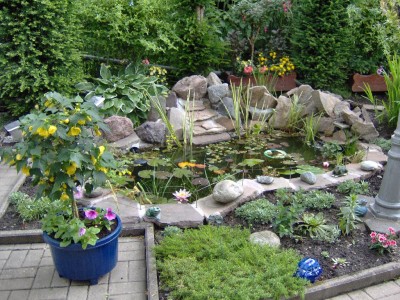 Teich gut.jpg