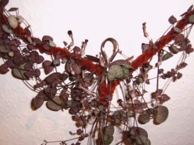 IMG00830.JPG