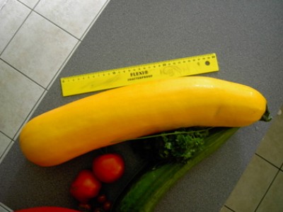 PICT0091.JPG