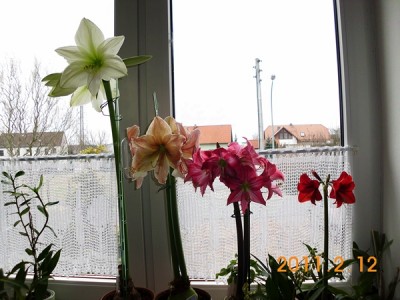 DSCI0507.JPG