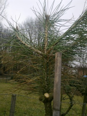 12022011228 - Kopie(1).jpg