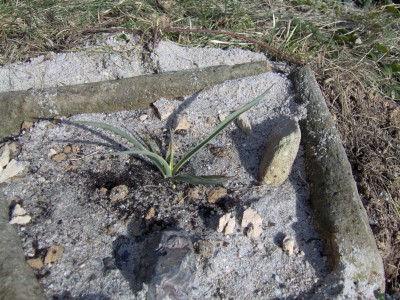 März2006(1).jpg