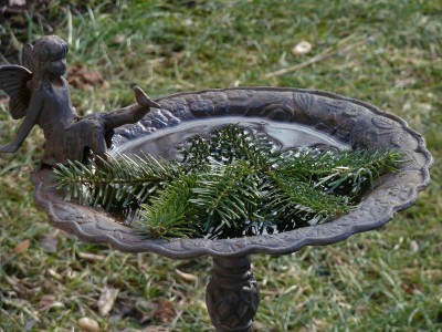 Vogeltränke.jpg