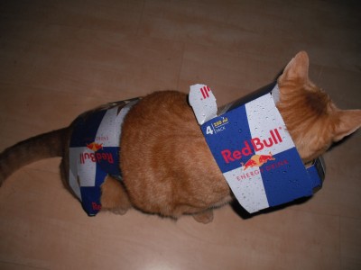RedBull3.jpg