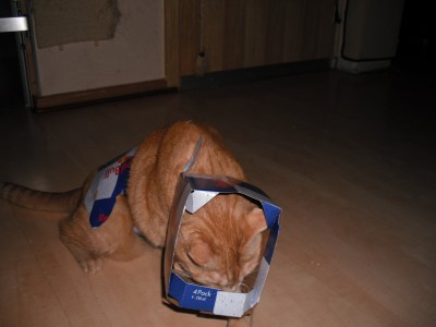 RedBull2.jpg