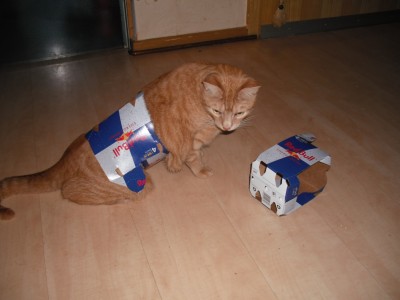RedBull1.jpg