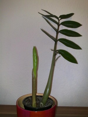 16022011100.jpg