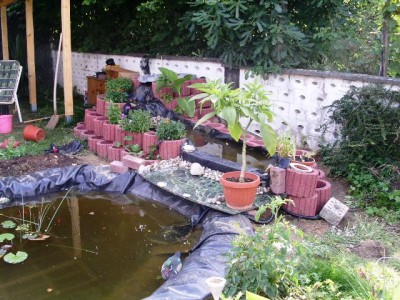 PICT0167.JPG