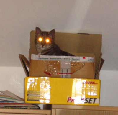 Alienkater5912.jpg