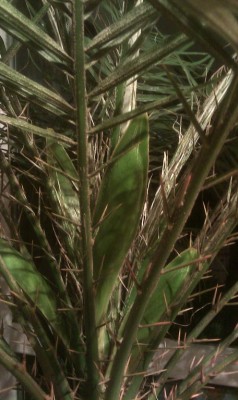 IMAG0089.jpg