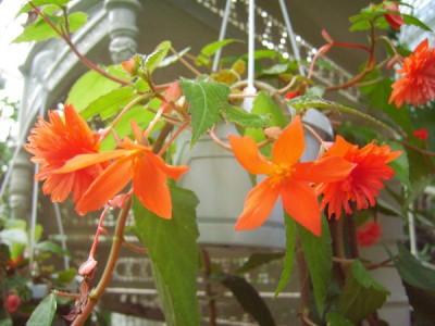 PICT2010 100.JPG