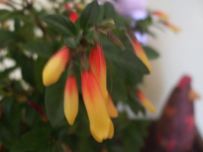 DSCF1761.JPG