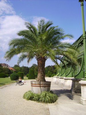 PICT2002 100.JPG