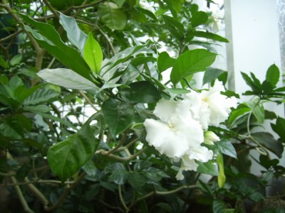 PICT1964 100.JPG