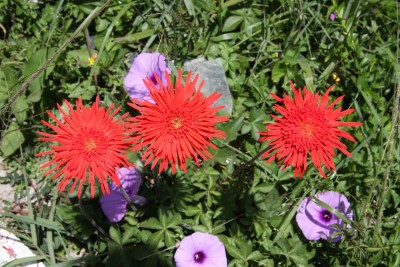 Bild_004.jpg