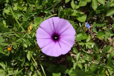 Bild_003.jpg