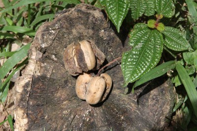 Bild_002.jpg