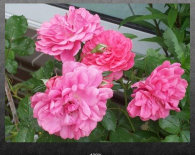 leines' Versöhnung Teil 1.jpg