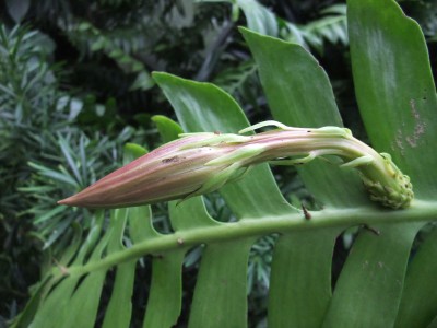 DSCF5509.JPG