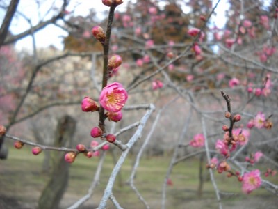 DSCN4258.JPG