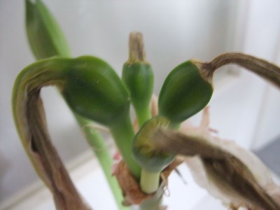 DSCF5631.JPG