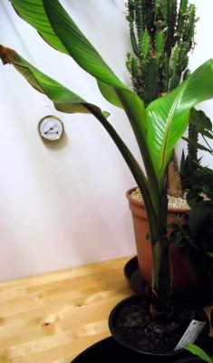 Bild24.12. 008.jpg