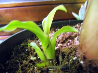 Bild24.12. 009.jpg