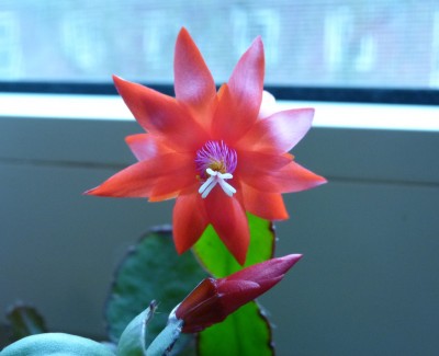 P1010545.JPG