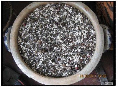 Muccis Ferienprogramm.JPG